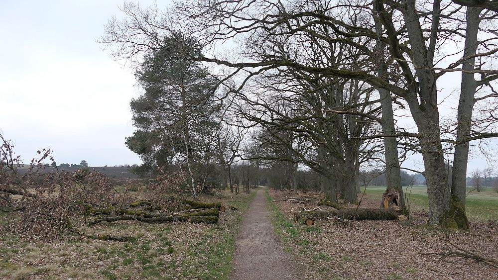 Heidschnuckenweg