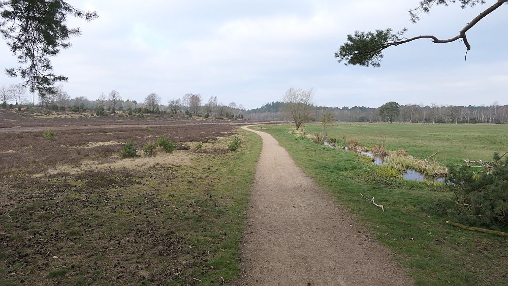 Heidschnuckenweg