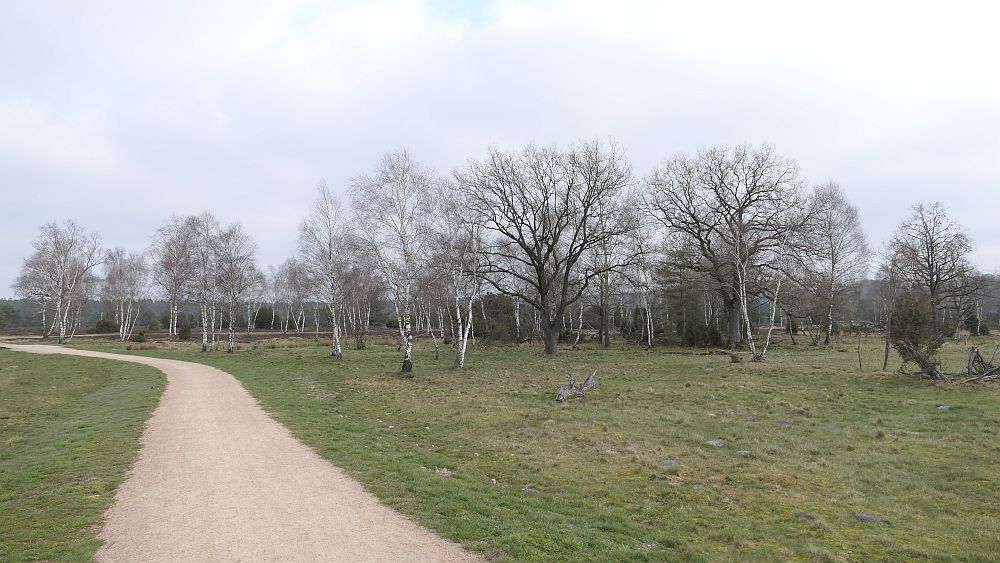 Heidschnuckenweg