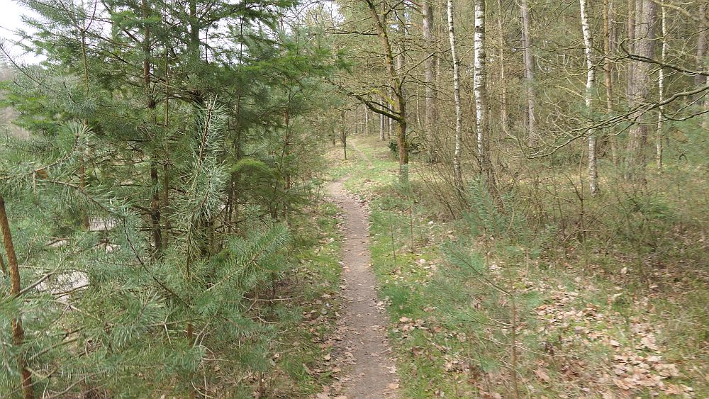 Heidschnuckenweg
