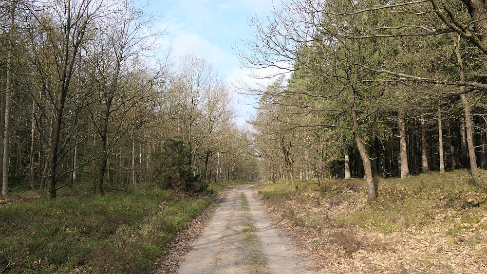 Heidschnuckenweg