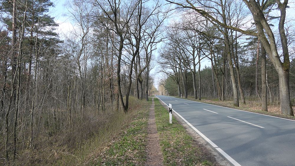 Heidschnuckenweg
