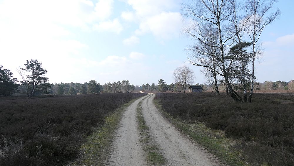 Heidschnuckenweg