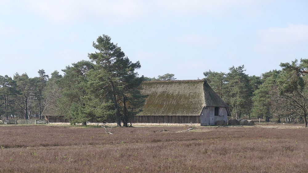 Heidschnuckenweg