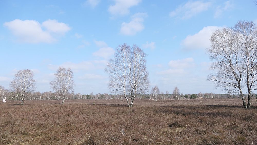 Heidschnuckenweg