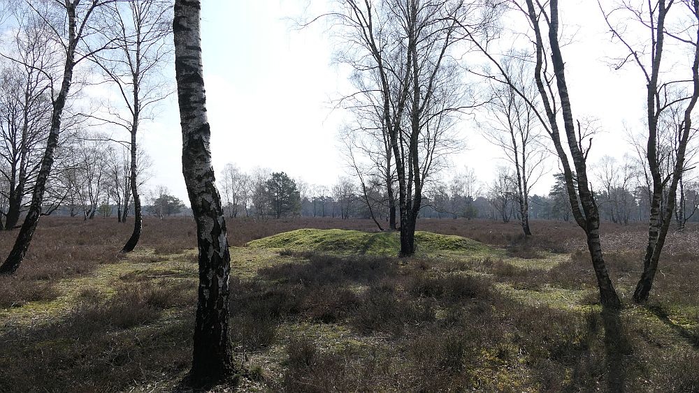 Heidschnuckenweg