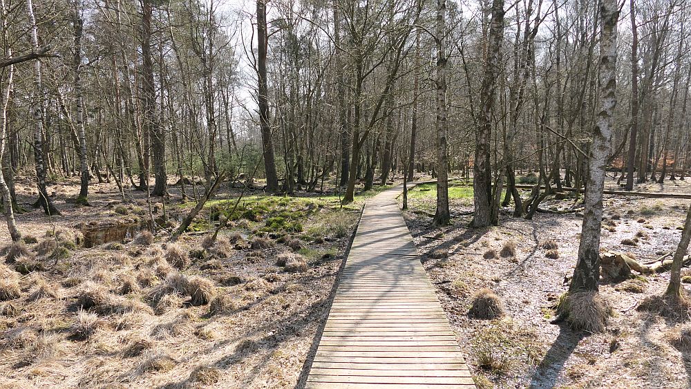 Heidschnuckenweg