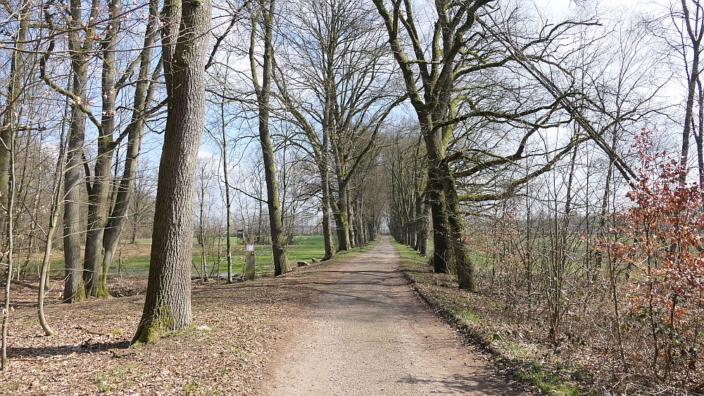 Heidschnuckenweg