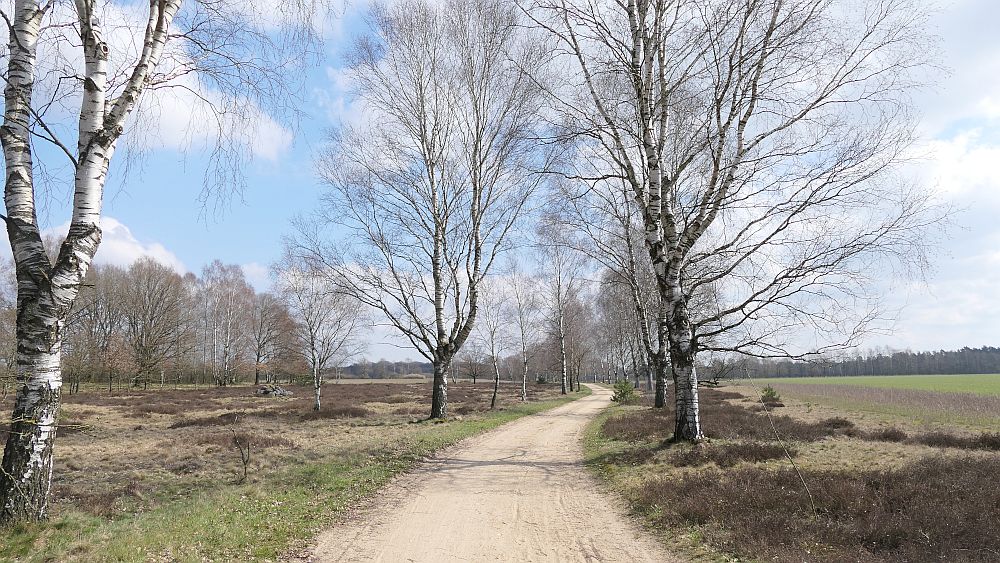 Heidschnuckenweg