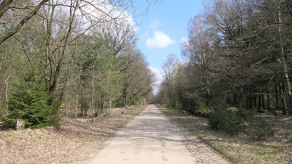 Heidschnuckenweg