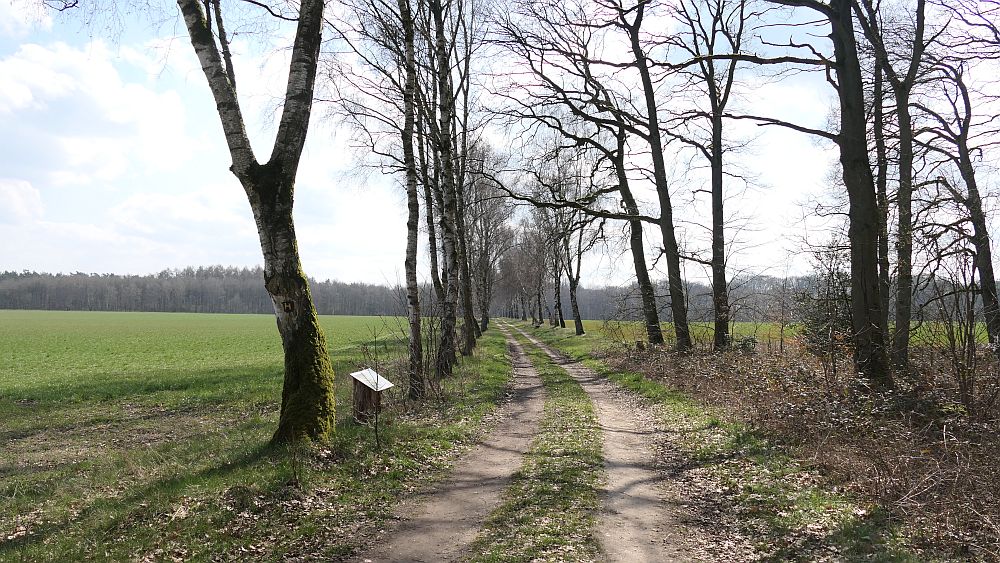 Heidschnuckenweg