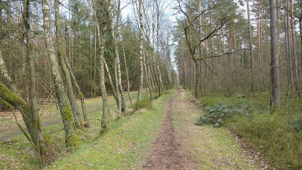 Heidschnuckenweg