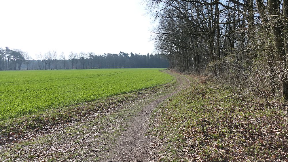 E1 Hamburg bis Steinhude