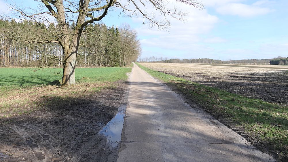 Heidschnuckenweg
