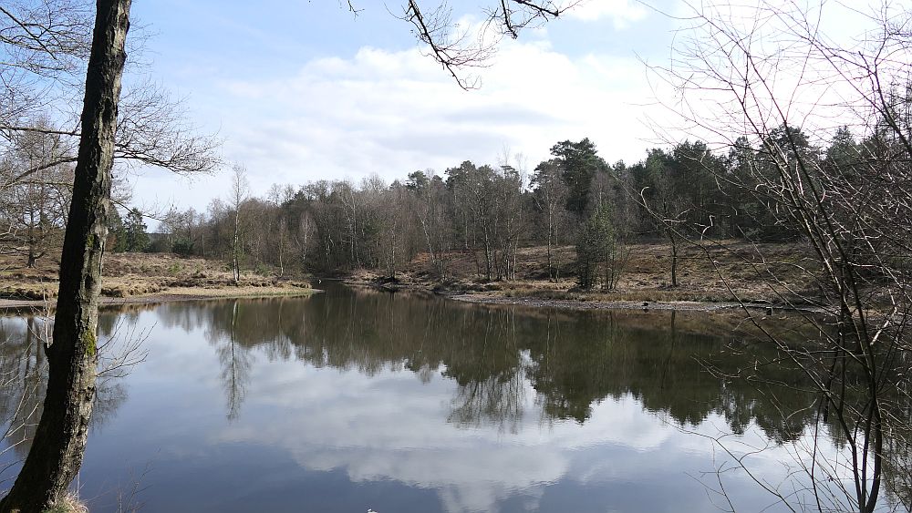 Heidschnuckenweg