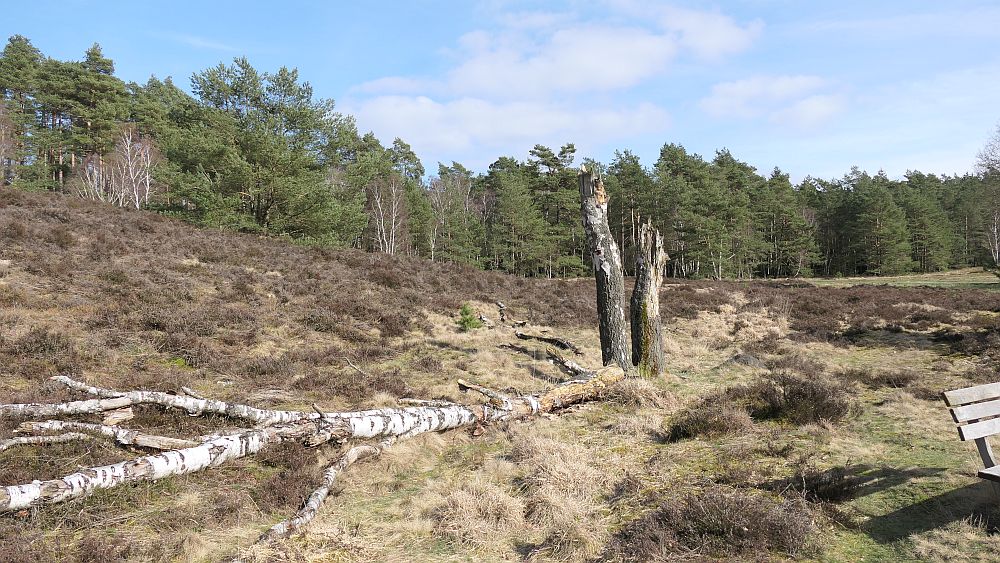 Heidschnuckenweg