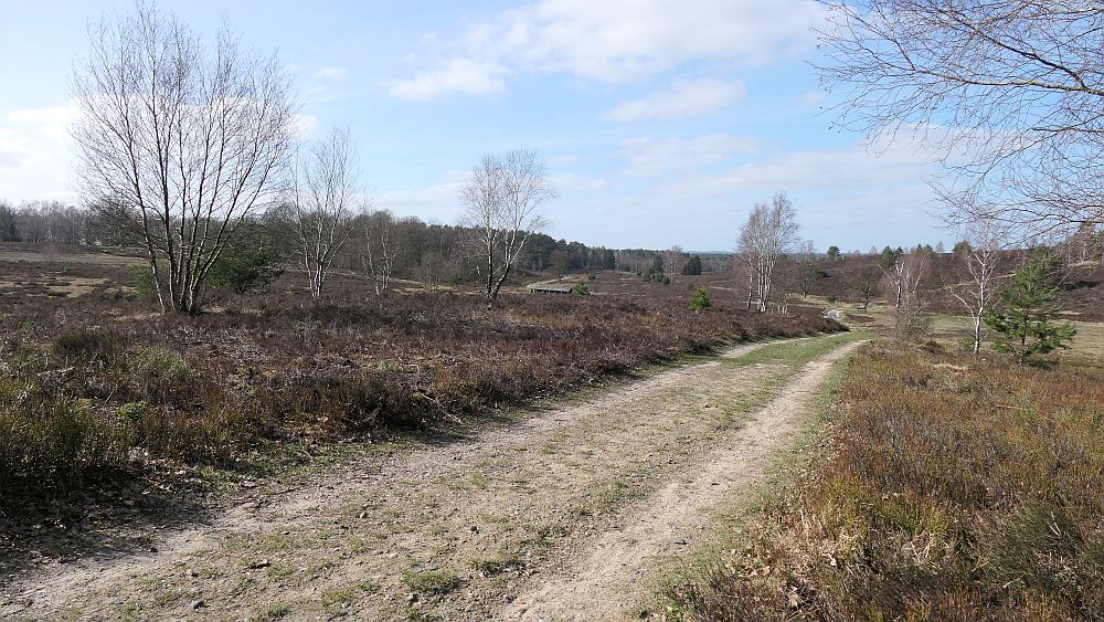 Heidschnuckenweg