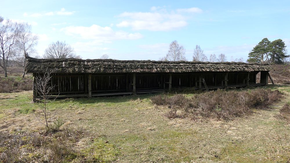 Heidschnuckenweg