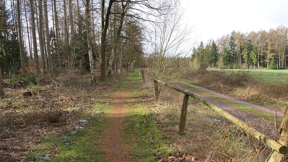 Heidschnuckenweg