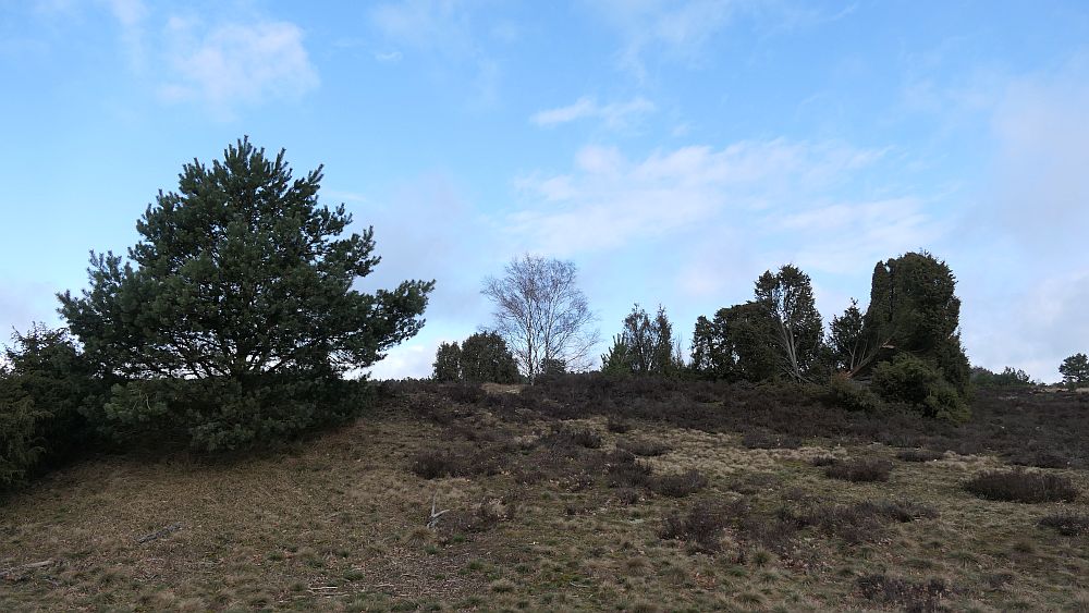Heidschnuckenweg