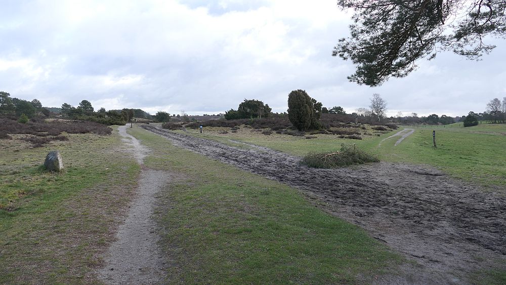 Heidschnuckenweg
