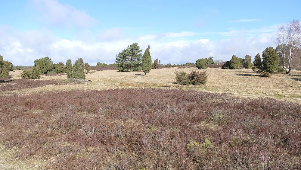 Heidschnuckenweg