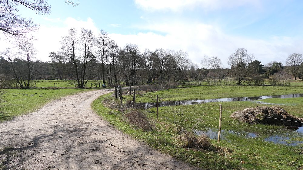 Heidschnuckenweg