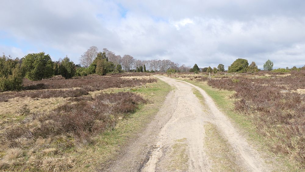 Heidschnuckenweg