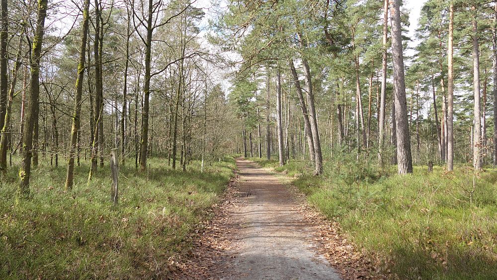 Heidschnuckenweg