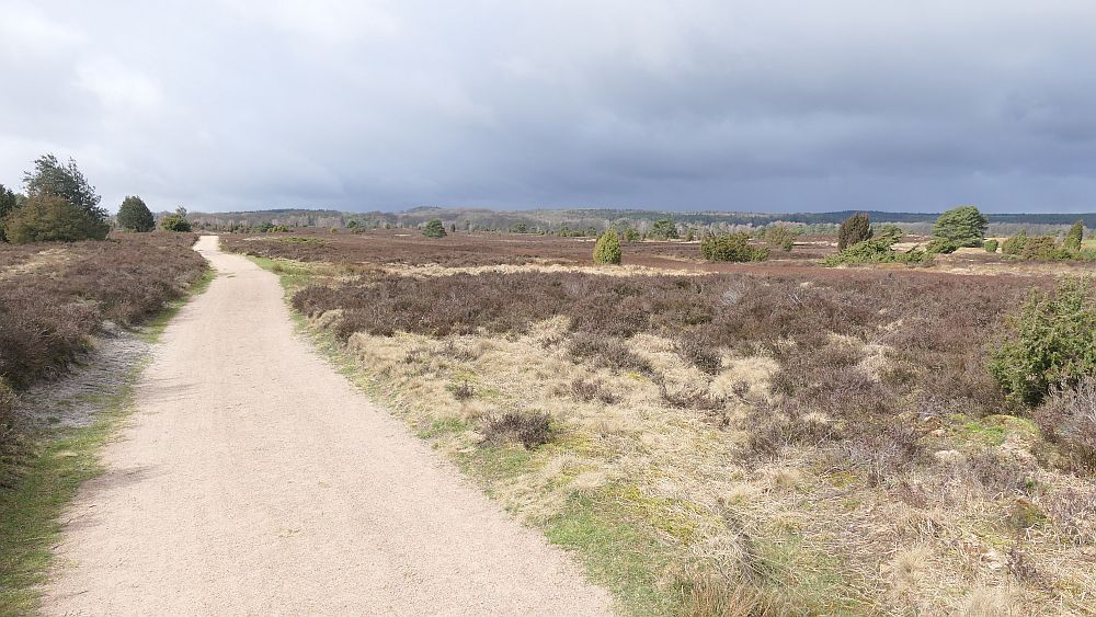 Heidschnuckenweg