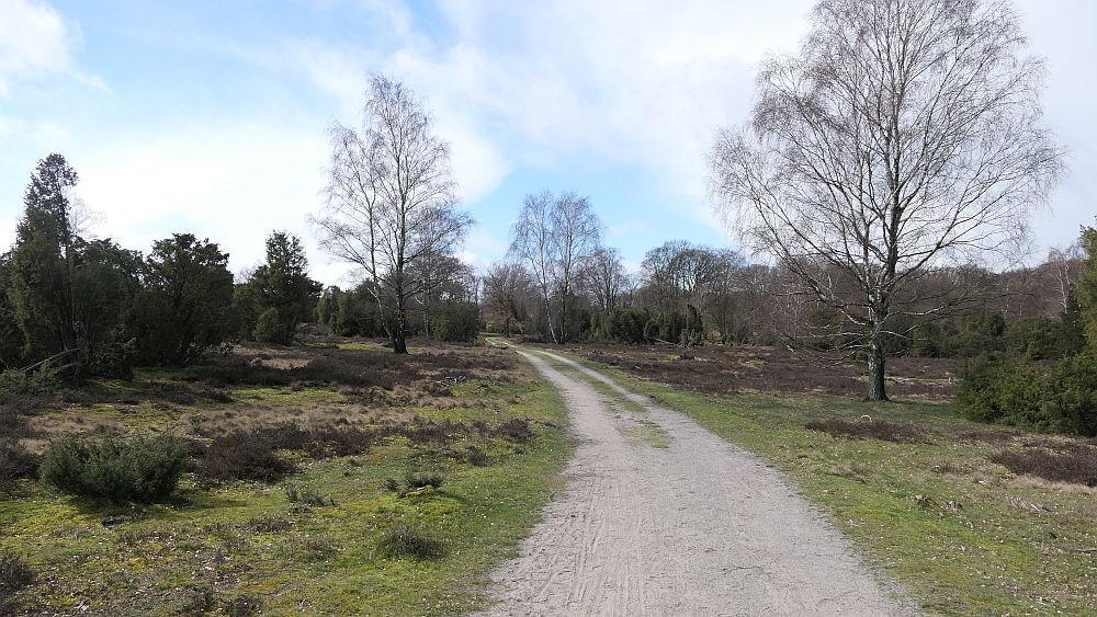 Heidschnuckenweg