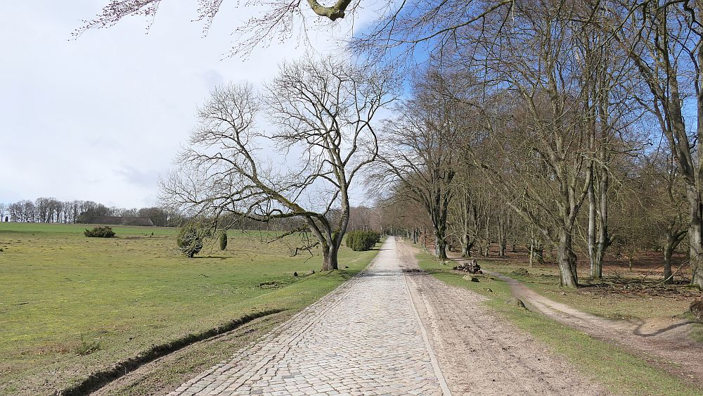 Heidschnuckenweg