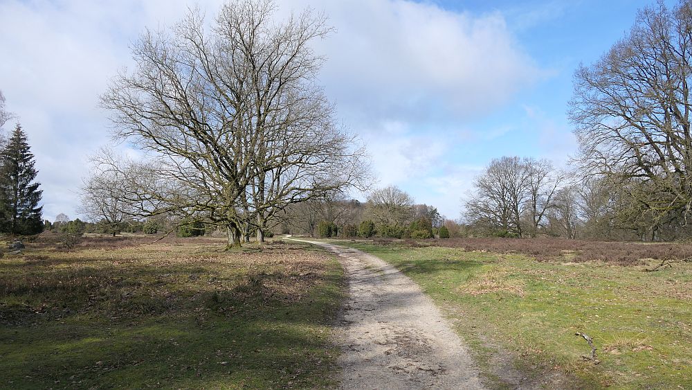 Heidschnuckenweg