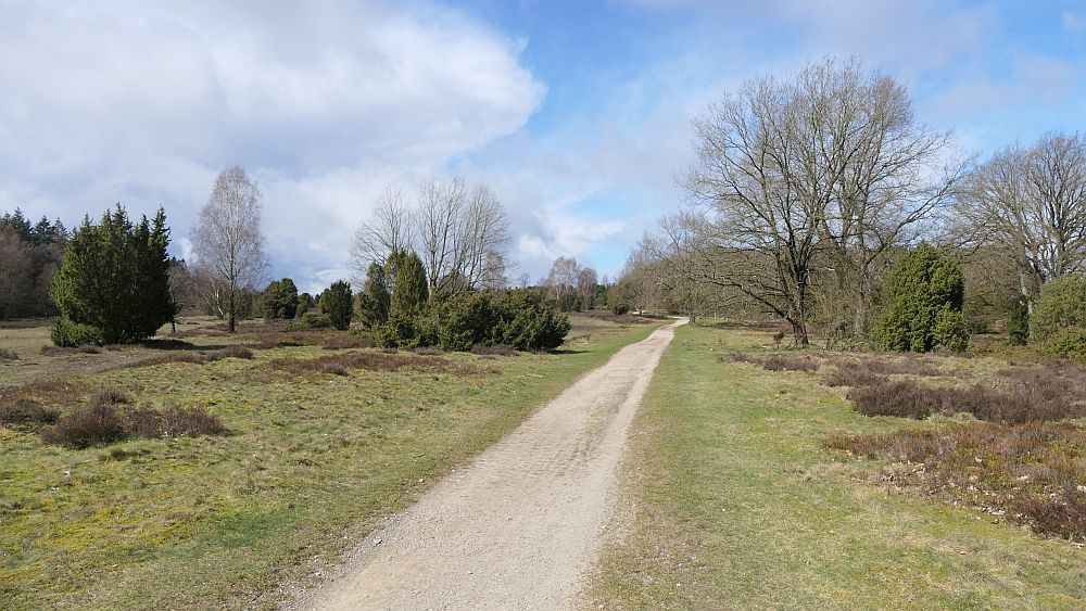 Heidschnuckenweg