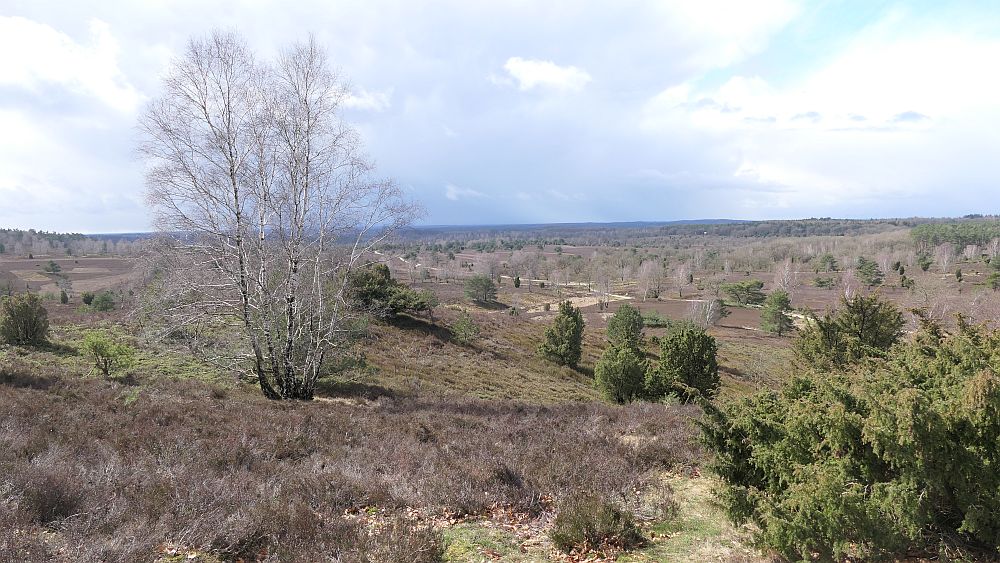 Heidschnuckenweg