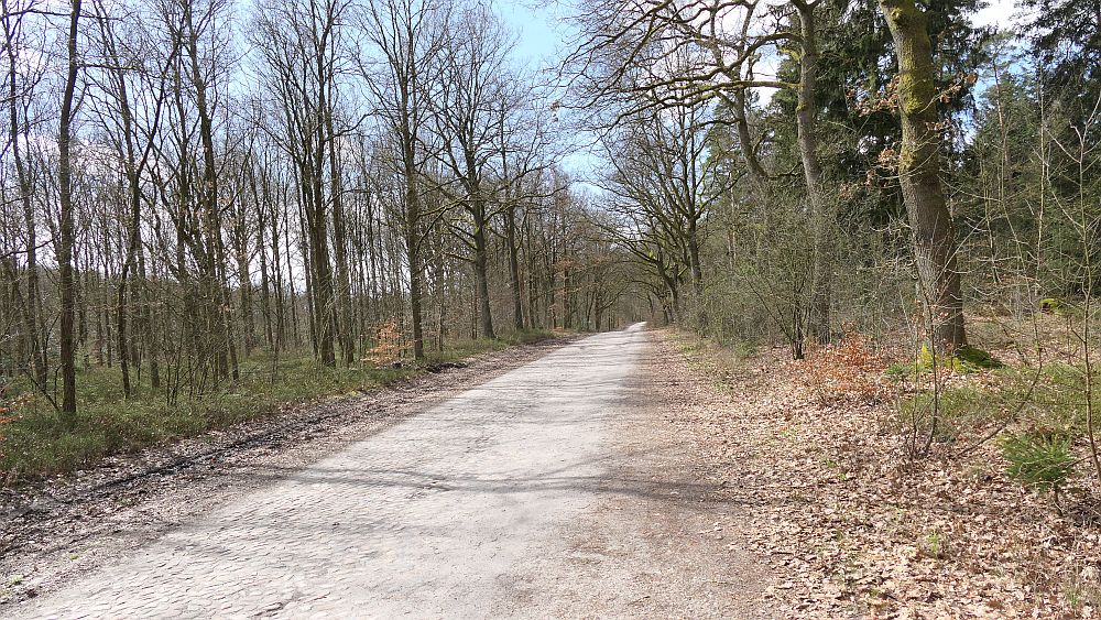 Heidschnuckenweg