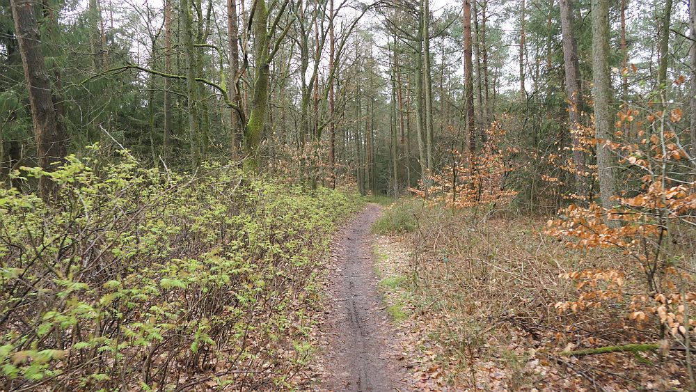 E1 Hamburg bis Steinhude