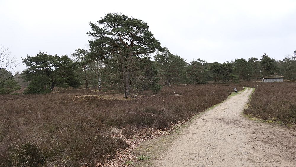 Heidschnuckenweg