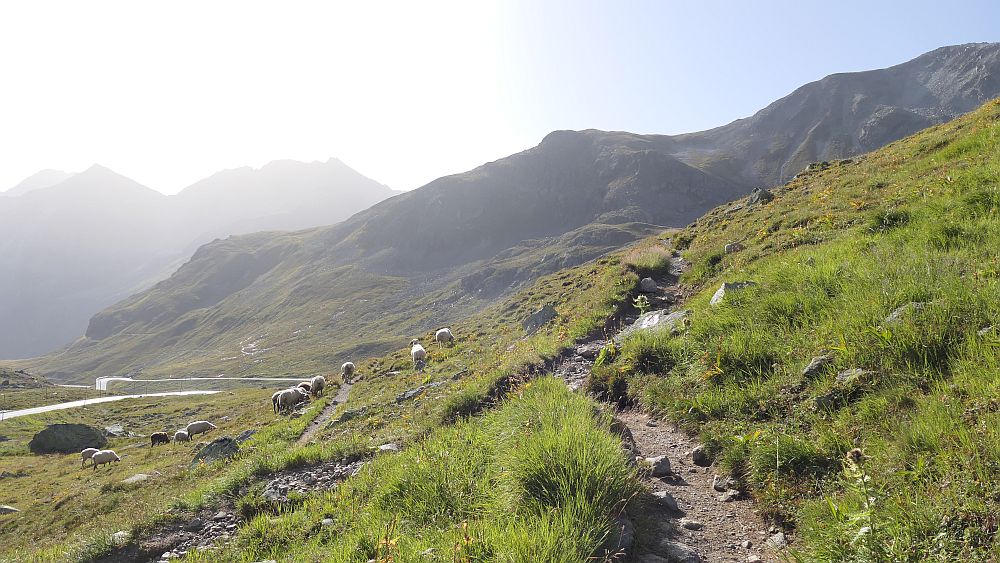 Schwarzhorn Flüela