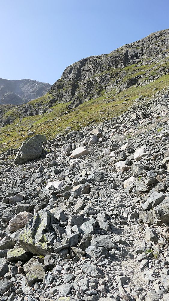 Schwarzhorn Flüela