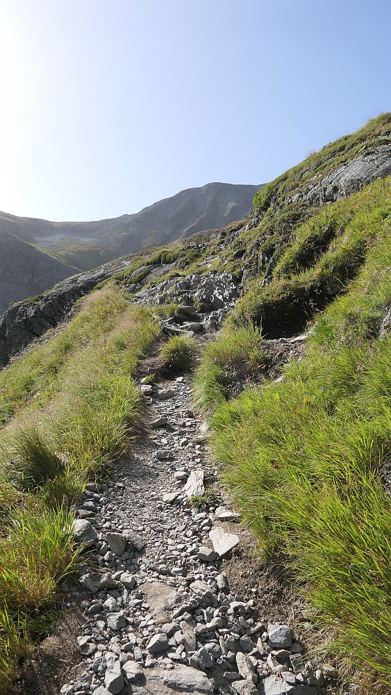 Schwarzhorn Flüela