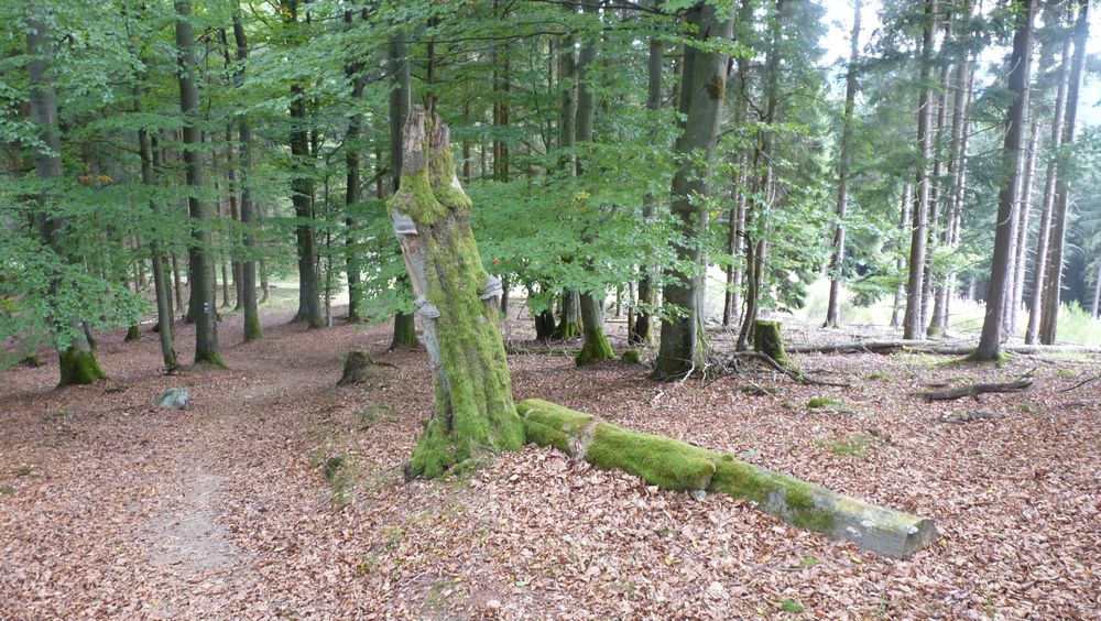 Schwedensteig