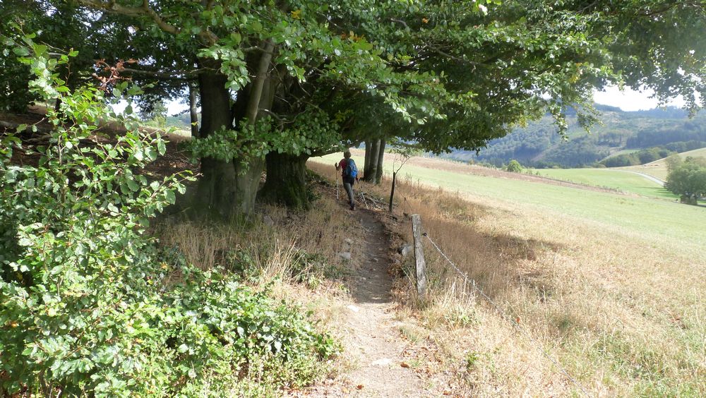 Schwedensteig