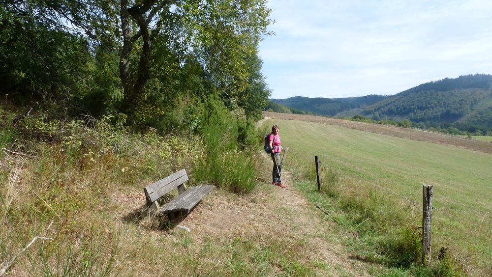 Schwedensteig