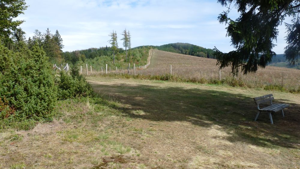 Schwedensteig