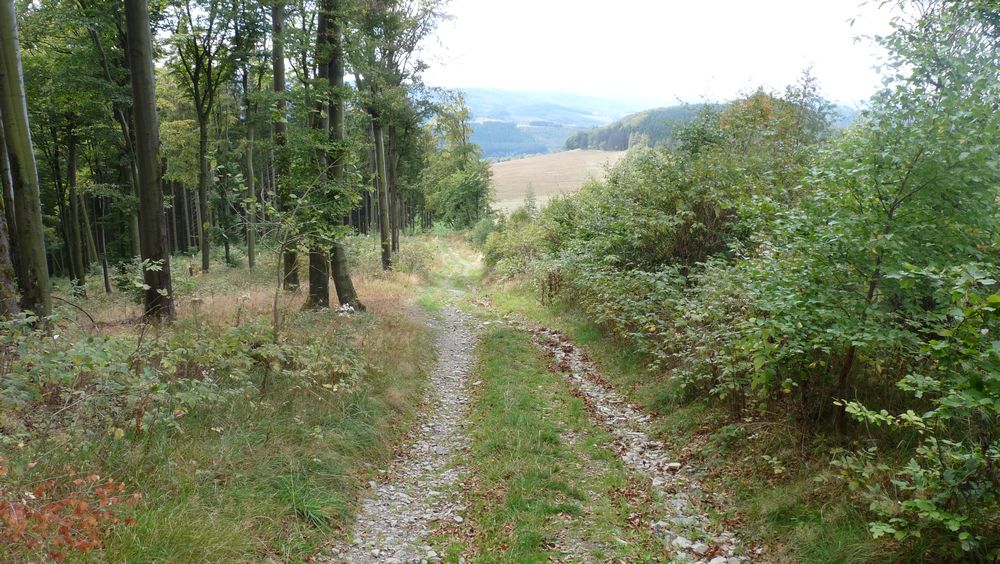 Schwedensteig