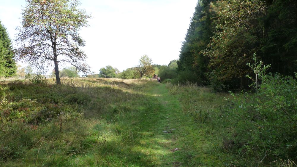 Schwedensteig