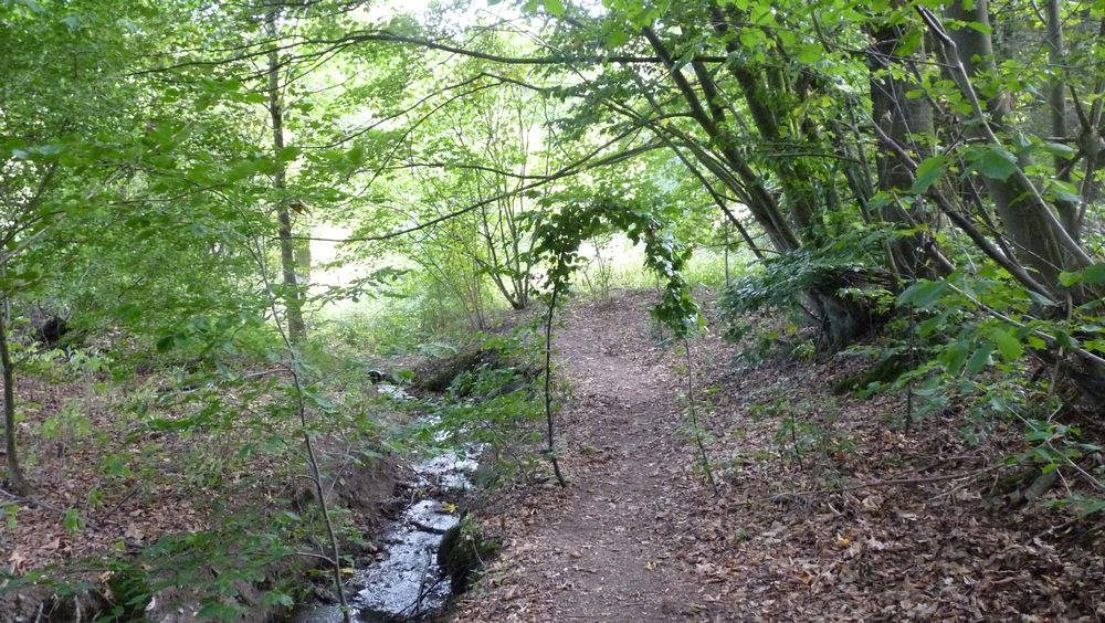 Schwedensteig