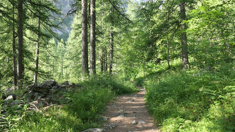 Ailefroide zum Refuge Sele