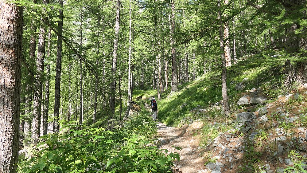 Ailefroide zum Refuge Sele